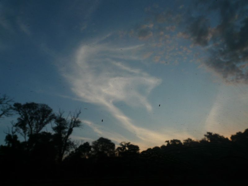 cloudy sky-01.JPG